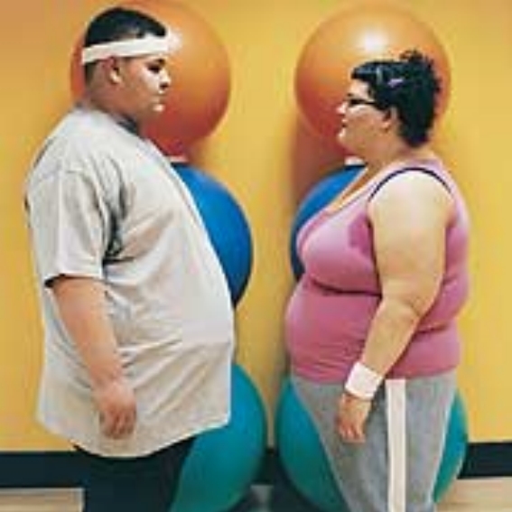 A Fat Couple 31