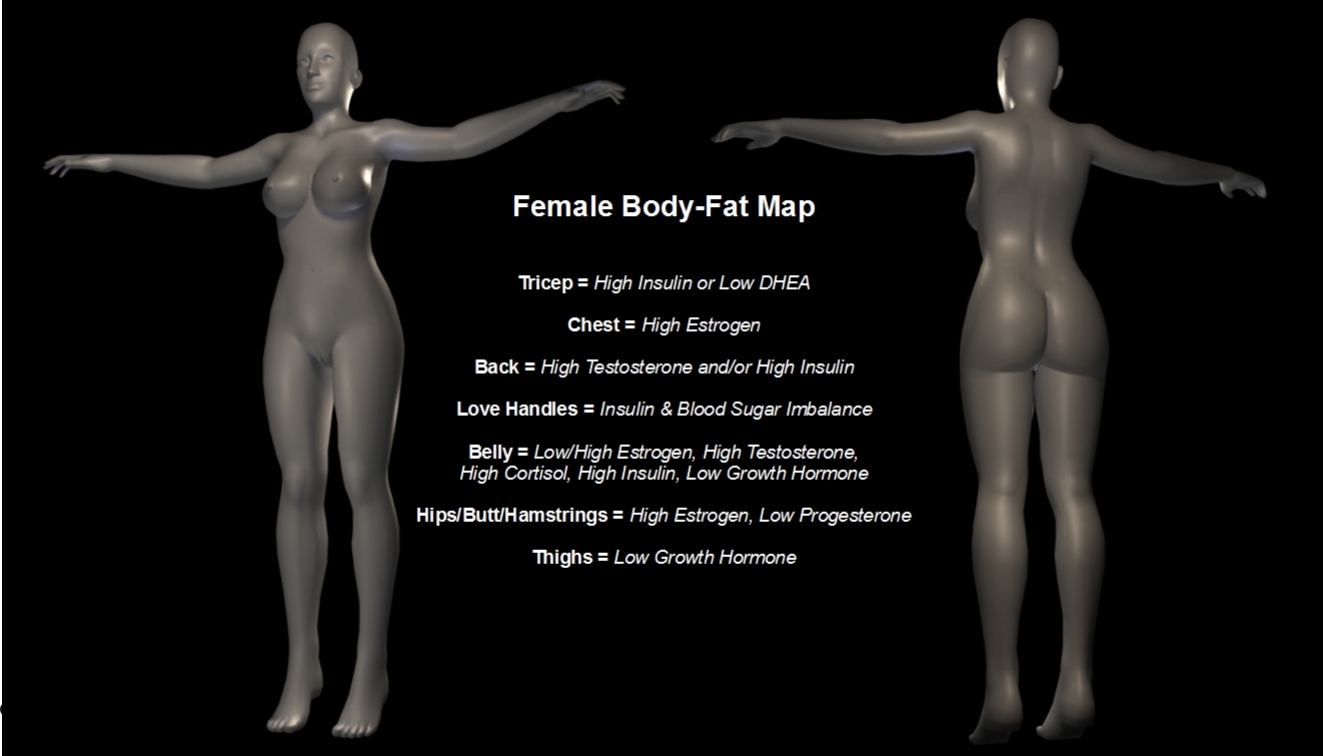 [Image: body-fat-map-female-woman.jpg]
